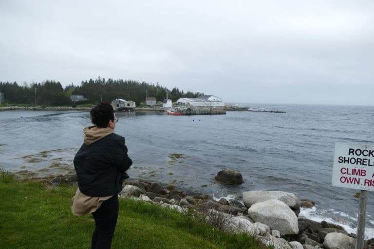 King Neptune Campground